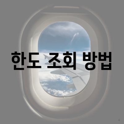 한도 조회 방법