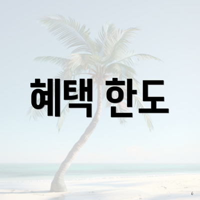 혜택 한도
