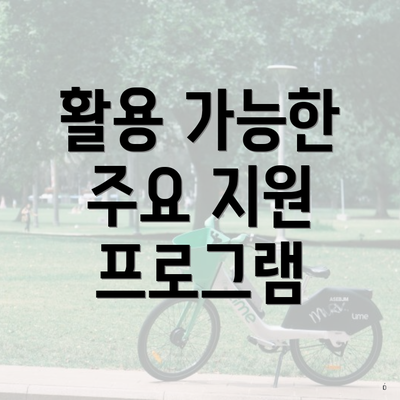 활용 가능한 주요 지원 프로그램