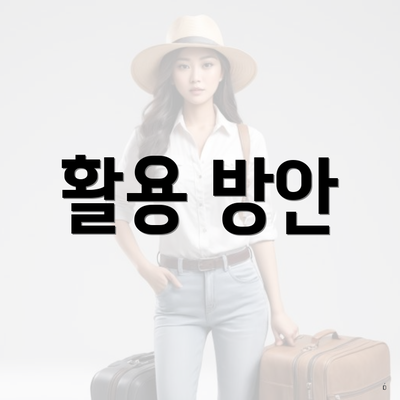 활용 방안