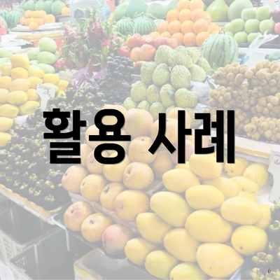 활용 사례