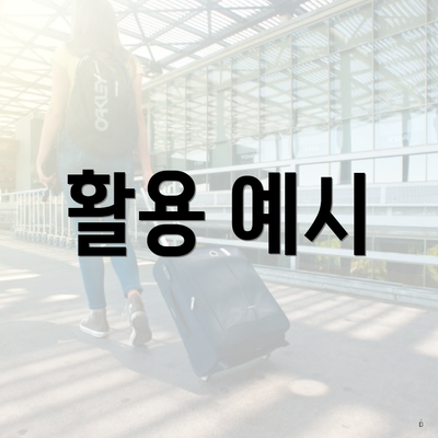 활용 예시
