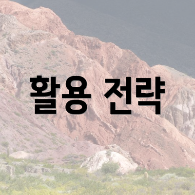 활용 전략