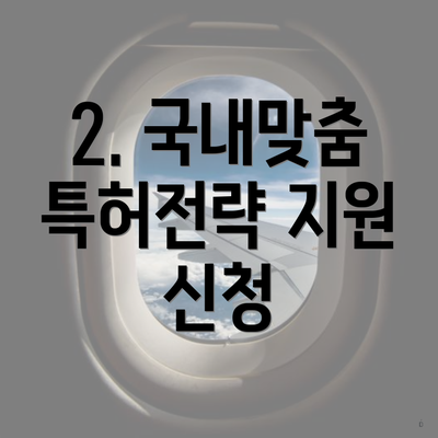 2. 국내맞춤 특허전략 지원 신청