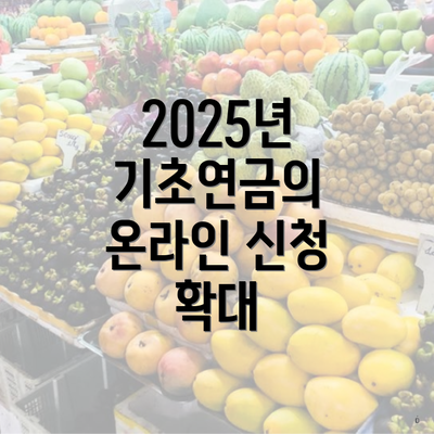 2025년 기초연금의 온라인 신청 확대