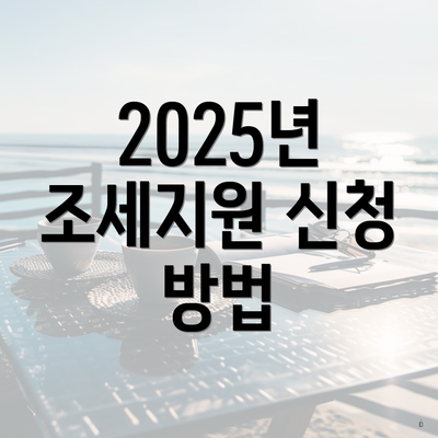 2025년 조세지원 신청 방법