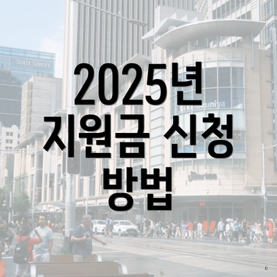 2025년 지원금 신청 방법