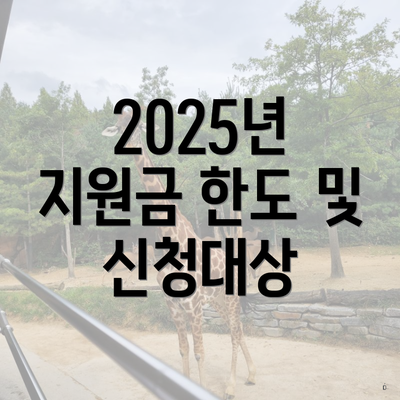 2025년 지원금 한도 및 신청대상