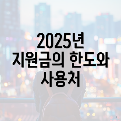 2025년 지원금의 한도와 사용처