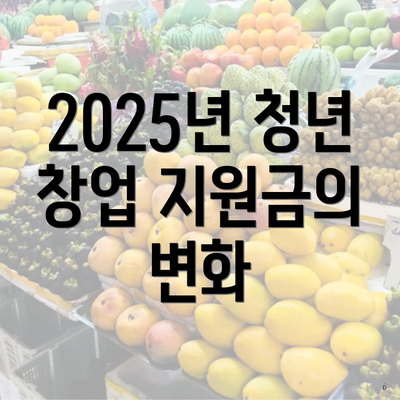 2025년 청년 창업 지원금의 변화