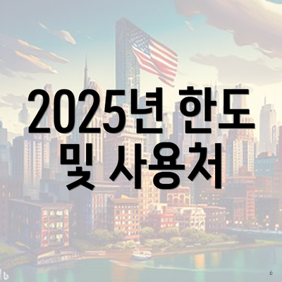 2025년 한도 및 사용처