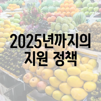 2025년까지의 지원 정책