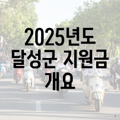 2025년도 달성군 지원금 개요