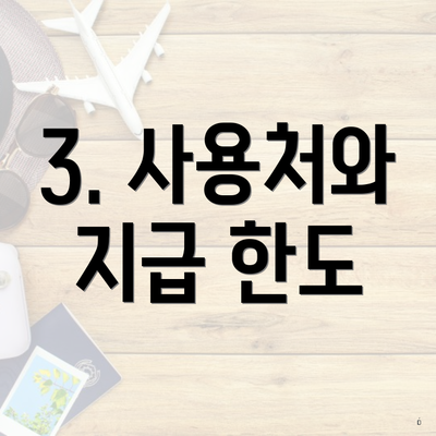 3. 사용처와 지급 한도