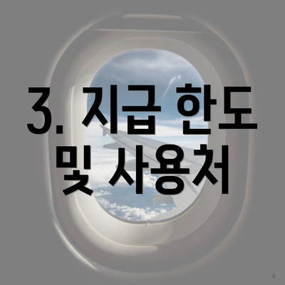 3. 지급 한도 및 사용처
