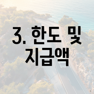 3. 한도 및 지급액