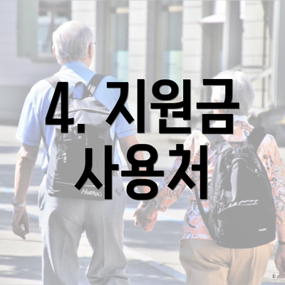 4. 지원금 사용처