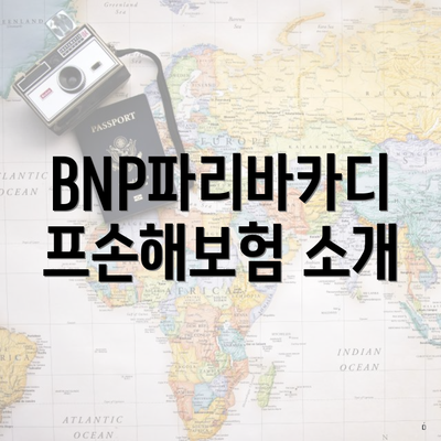 BNP파리바카디프손해보험 소개