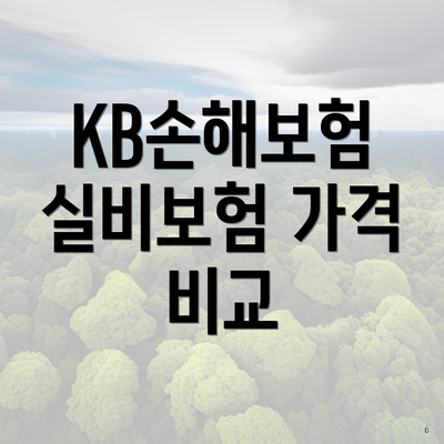 KB손해보험 실비보험 가격 비교