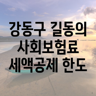 강동구 길동의 사회보험료 세액공제 한도