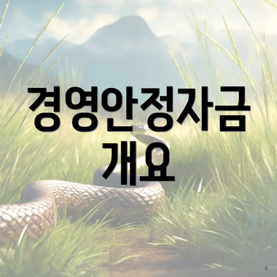 경영안정자금 개요