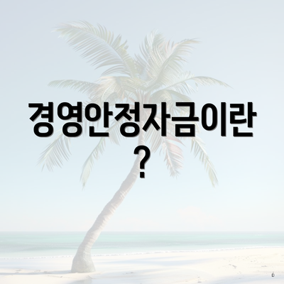 경영안정자금이란?