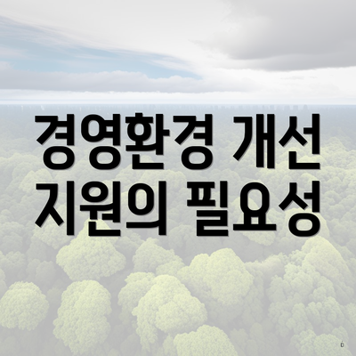 경영환경 개선 지원의 필요성