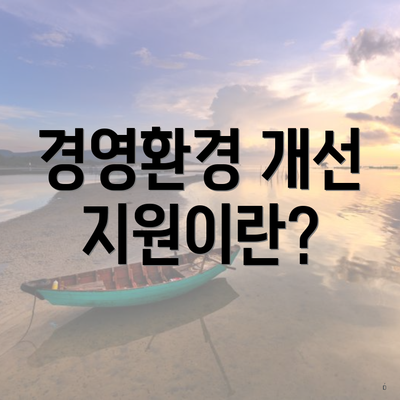 경영환경 개선 지원이란?