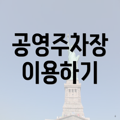 공영주차장 이용하기