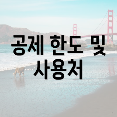 공제 한도 및 사용처