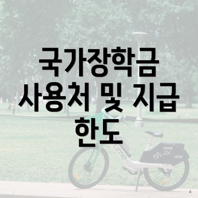 국가장학금 사용처 및 지급 한도