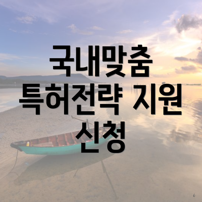 국내맞춤 특허전략 지원 신청