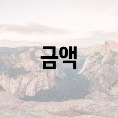 금액