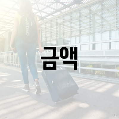 금액