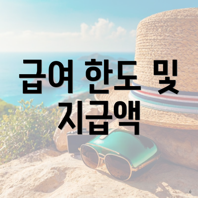 급여 한도 및 지급액