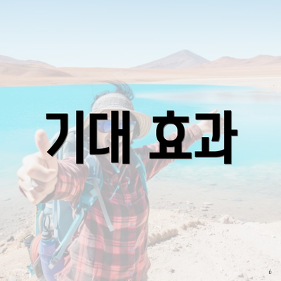 기대 효과