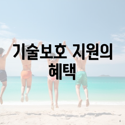 기술보호 지원의 혜택