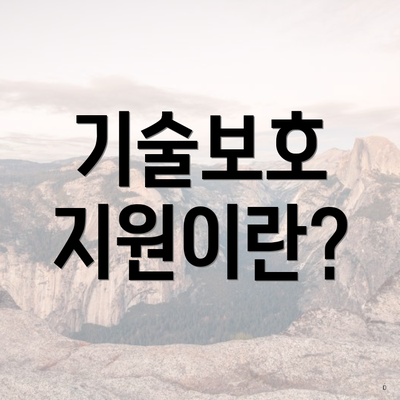기술보호 지원이란?