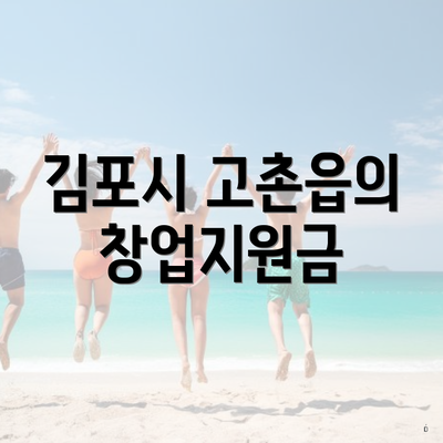 김포시 고촌읍의 창업지원금
