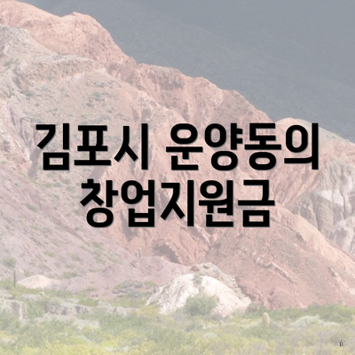 김포시 운양동의 창업지원금