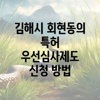 김해시 회현동의 특허 우선심사제도 신청 방법