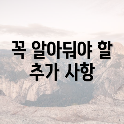 꼭 알아둬야 할 추가 사항