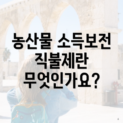 농산물 소득보전 직불제란 무엇인가요?