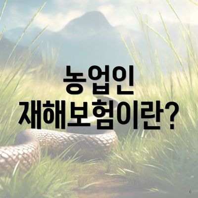 농업인 재해보험이란?