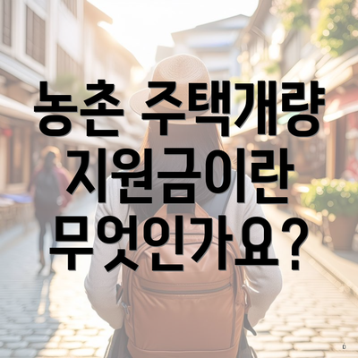 농촌 주택개량 지원금이란 무엇인가요?