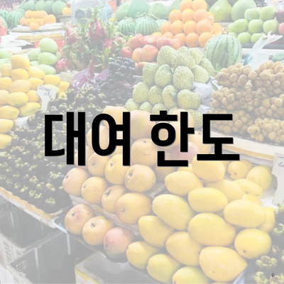대여 한도