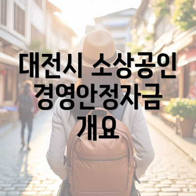 대전시 소상공인 경영안정자금 개요