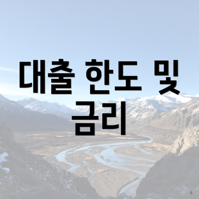 대출 한도 및 금리