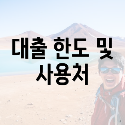 대출 한도 및 사용처