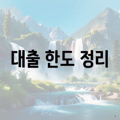 대출 한도 정리